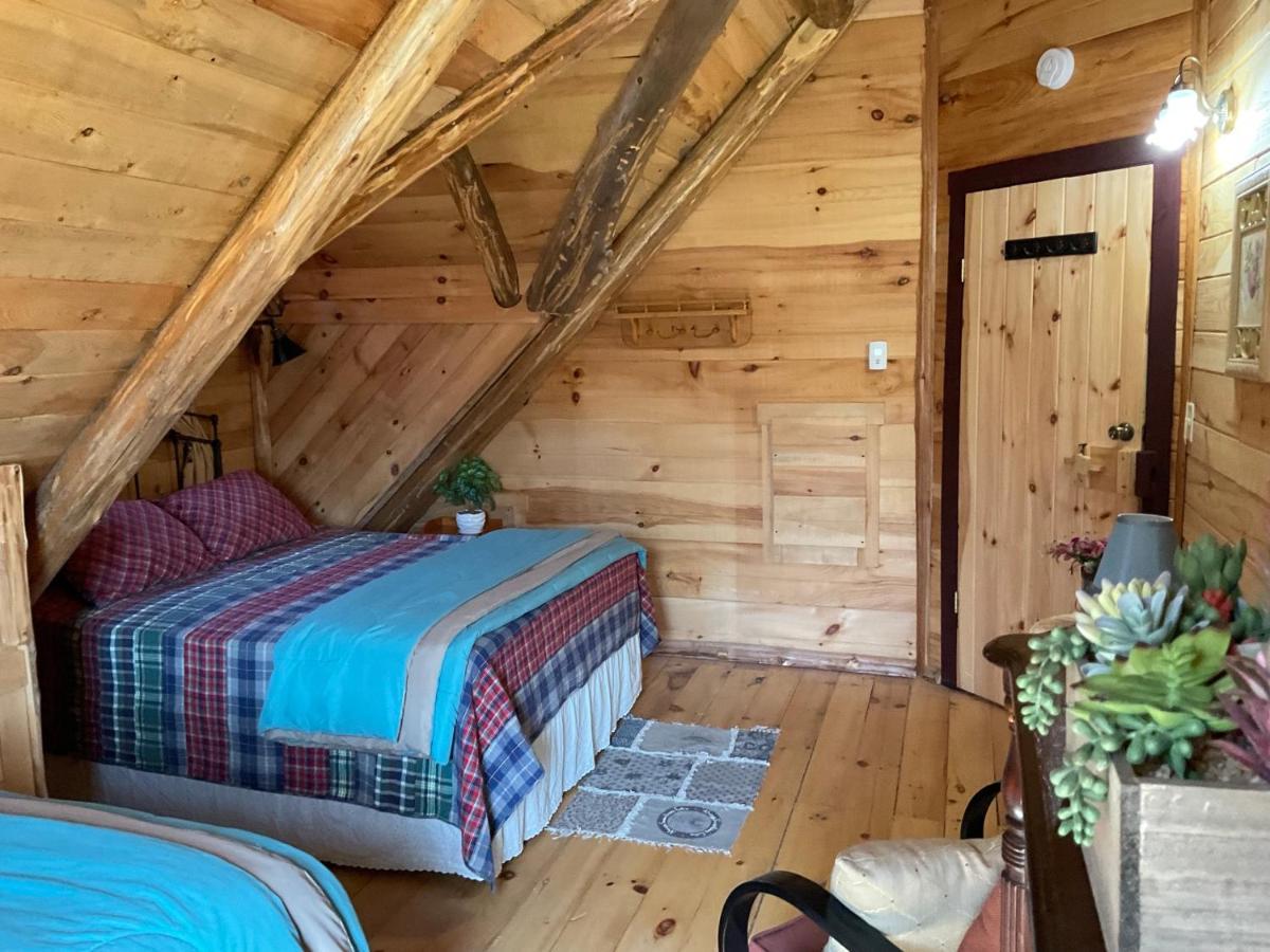 Lodge Solange Palatino Bridge Екстериор снимка